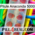 Anaconda 5000 Pill 18